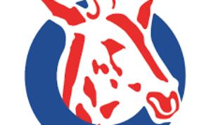 50 Direct Sales Agents (Maafisa Mauzo) at NBC Bank Kinyerezi Branch